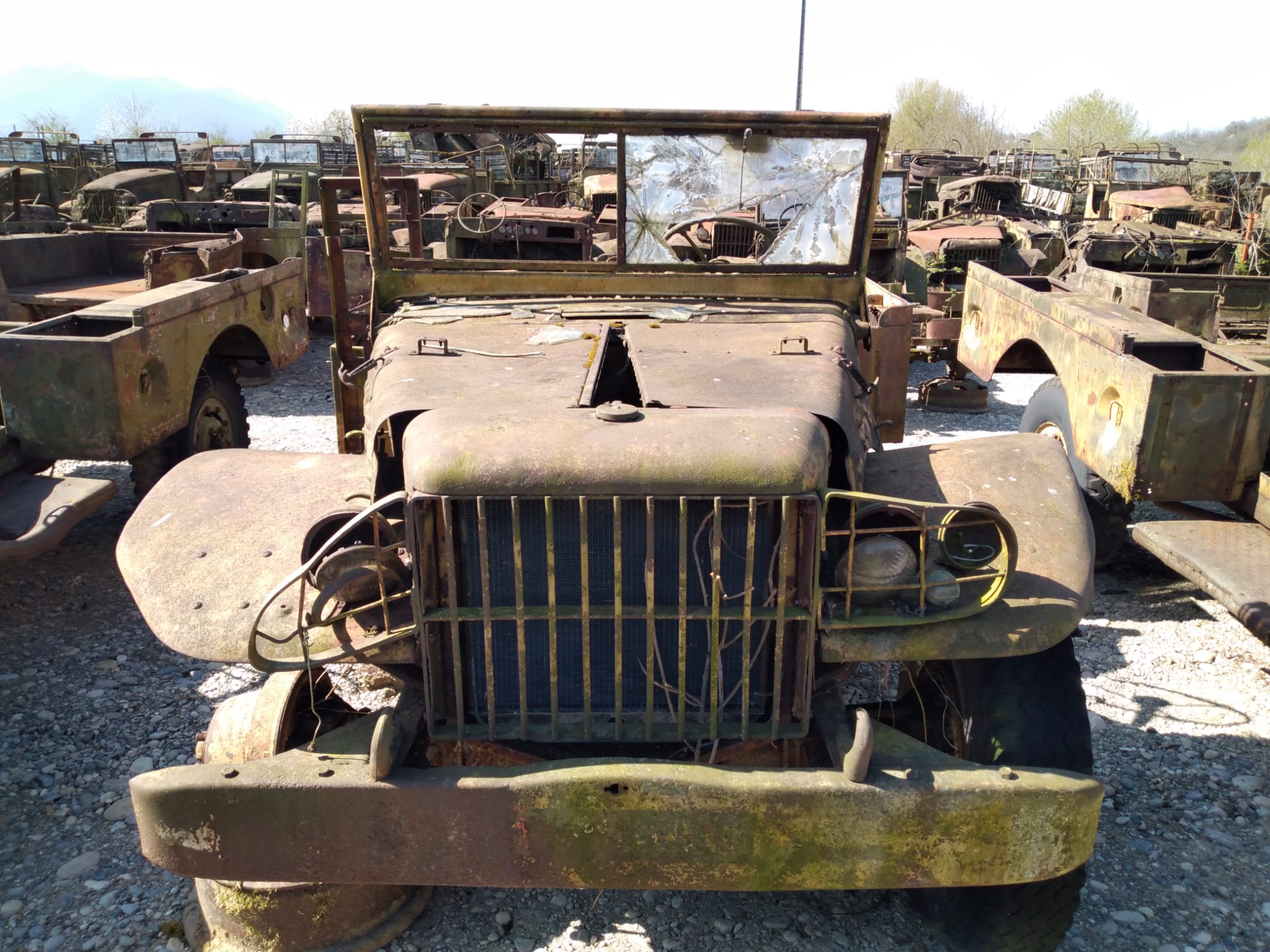 DODGE WC 51